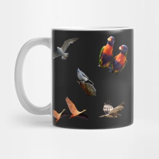 Bird sticker pack! Mug